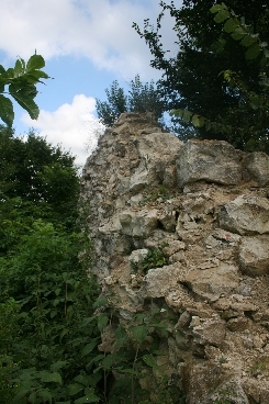 Bochotnica - zamek